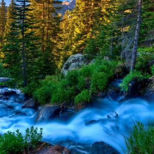 LMY-寂寞女神 DJ（LMY remix）