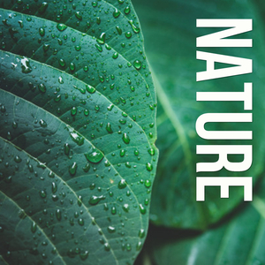 Camfire By The River (Original Mix)