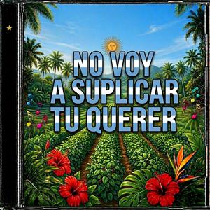 NO VOY A SUPLICAR TU QUERER
