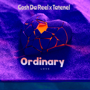 Ordinary Love