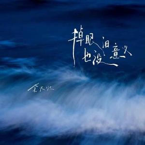 掉眼泪也没有意义 (DJ版)升调版