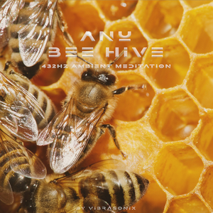 Anu Bee Hive 432hz Ambient Meditation
