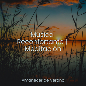 Susurros Revitalizantes