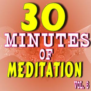 30 Minutes of Meditation, Vol. 6