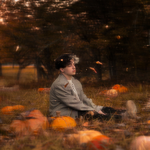 Le chaos a des ailes