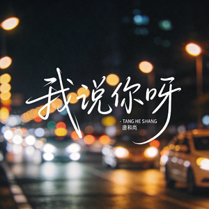 我说你呀（热播版）