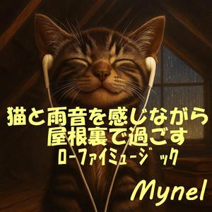 猫が見上げた雲の隙間