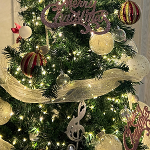 7分甜美式(Xmas Ver.)