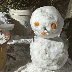 存在我记忆深处的你