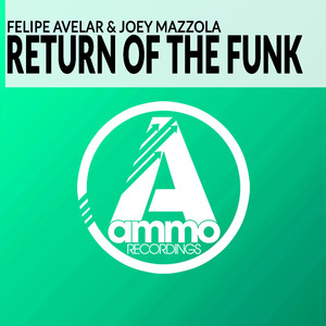 Return of the Funk (Original Mix)