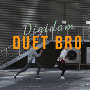 Digidam