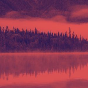 诗意的午睡节奏