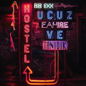 Ucuz Fahişe ve Tanıdık Hostel