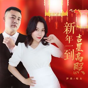 新年一到吉星高照（DJ月之歌版）