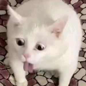 Celebration (sped up)