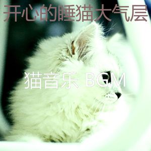 抚慰的睡猫回忆