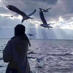 蛋白质DNA（prod by 1ZENboi）