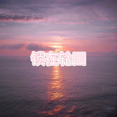 锁在轮回 (特别版)