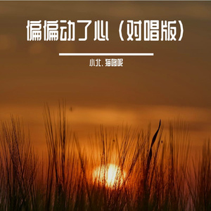 偏偏动了心 (对唱版)