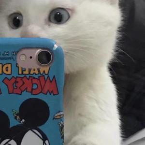 我想念（翻自 JZW）