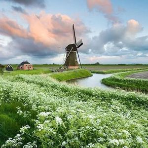 逃跑计划-夜空中最亮的星