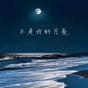 不是我的月亮
