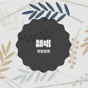 写给我第一个喜欢的女孩子的歌（翻自 洛天依）