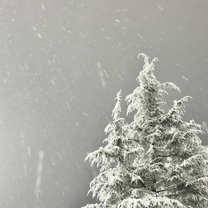 单板滑雪