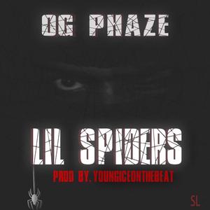 Lil Spider