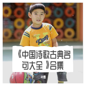 Ⅶ《中国诗歌古典名句大全》柒