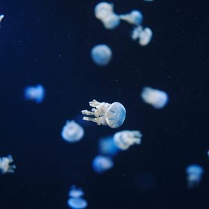 意外依赖(刚认识你以为只是个意外)