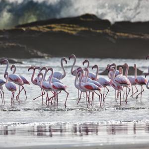 Tina, Lighting In a Bottle