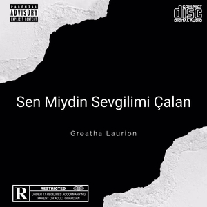 Sen Miydin Sevgilimi Çalan