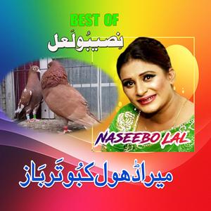 Sohniya Akhiyan Waliya