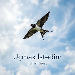 Uçmak İstedim