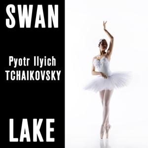 Swan Lake, Op. 20: No. 8, Danse des coupes. Tempo di polacca