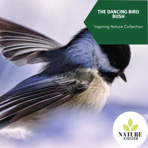 The Fire Sound for Dreamland