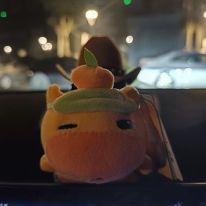 落在世界的光-童声合声