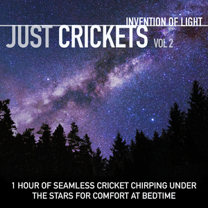 Fill My Heart with Cricket Song