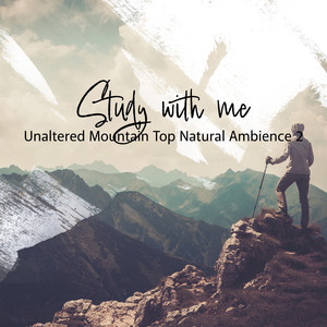 Unaltered Mountain Top Natural Ambience, Pt. 7