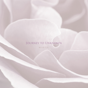 流されて (String Orchestra & Guitar)