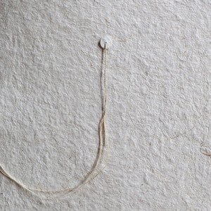 kasumi (feat. phoka)