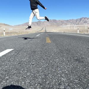 一天到晚游泳的鱼