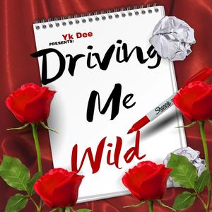 D.M.W (Driving Me Wild)