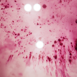 Pink Noise Sleep Frequencies