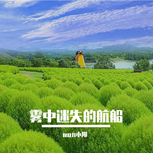 雾中迷失的航船