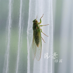 风恋