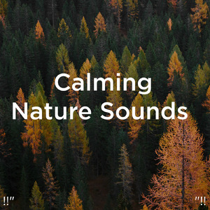 수면을위한 바다의 소리