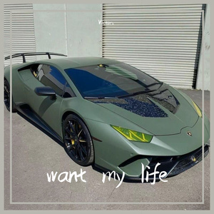 Want My life(Orginal mix)