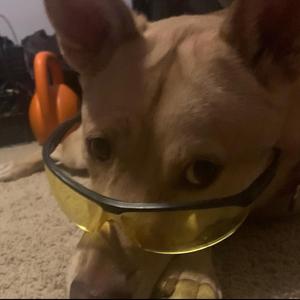 Lady Gaga? (feat. Tram)